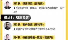 娱乐圈爆料文案怎么写,揭秘明星背后的秘密与真相