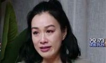 娱乐吃瓜结婚视频大全集,吃瓜群众见证的明星婚姻盛典